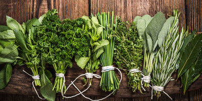 Cooking With Fresh Herbs