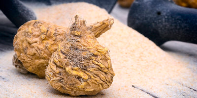 What Maca Root Can Do For Your Health