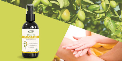Hydrate with Jojoba