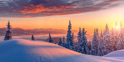 Fun Ways to Celebrate the Winter Solstice