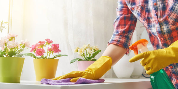4 Steps to A Cleaner Home: Get a Head Start on Spring Cleaning