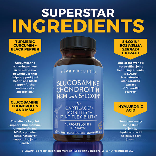 Glucosamine, Chondroitin, MSM with 5-LOXIN®