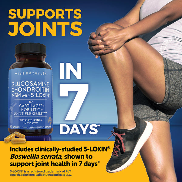 Glucosamine, Chondroitin, MSM with 5-LOXIN®